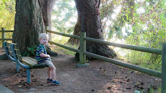 On the Bench at Sunset