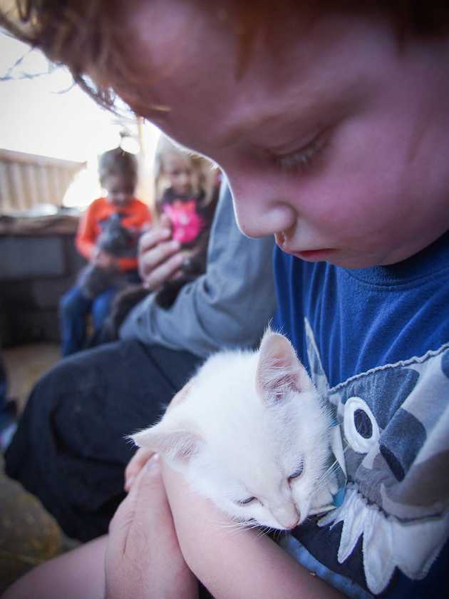 Patrick Holds a Kitten