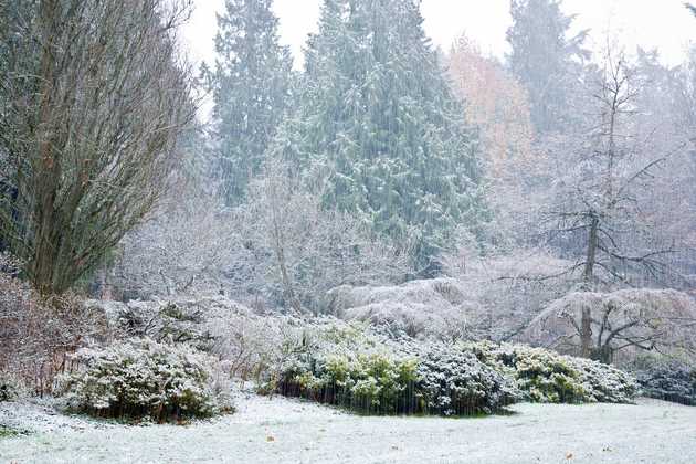 Winter Landscape