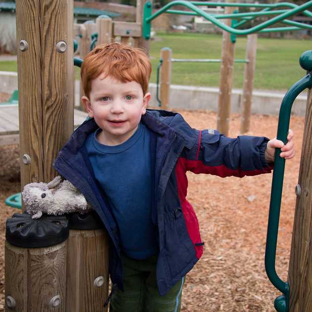 Redheaded Climber