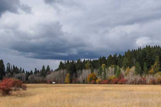 Fall in the Mountains